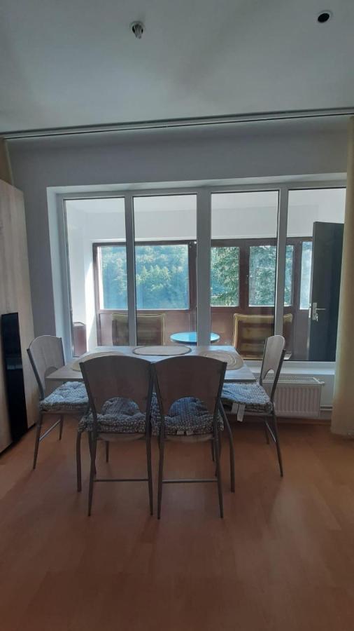 Monik Apartament 시나이아 외부 사진