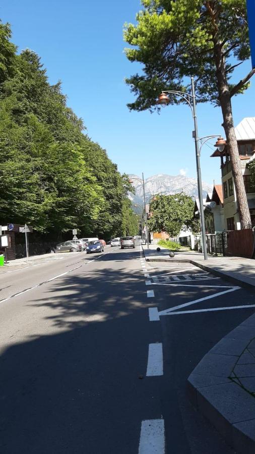 Monik Apartament 시나이아 외부 사진