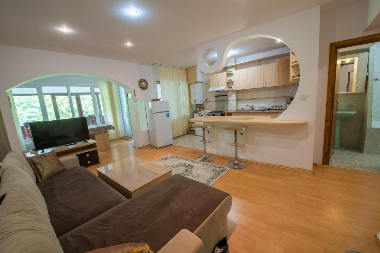 Monik Apartament 시나이아 외부 사진