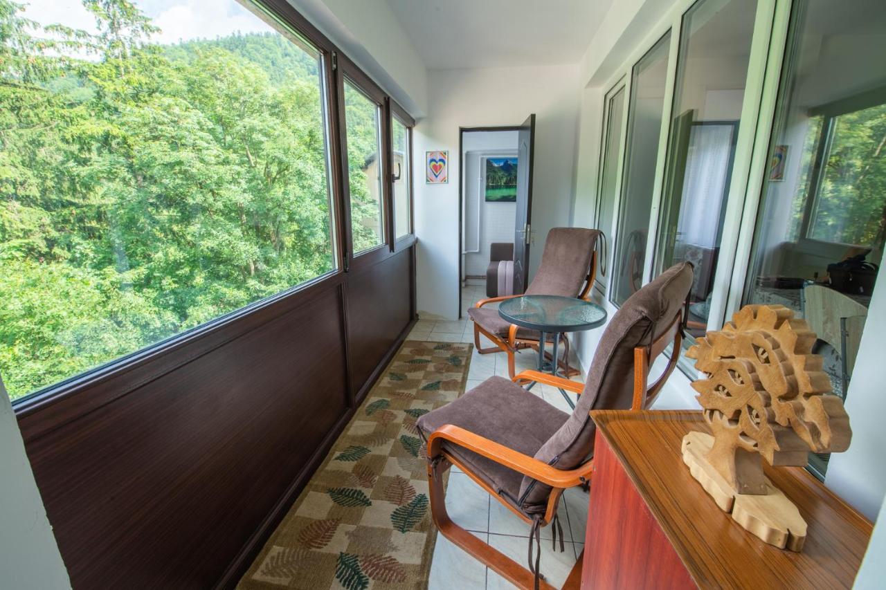 Monik Apartament 시나이아 외부 사진