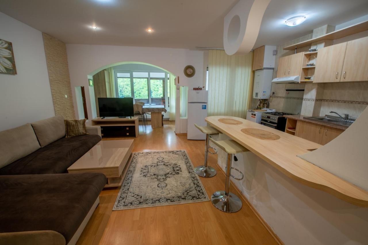 Monik Apartament 시나이아 외부 사진