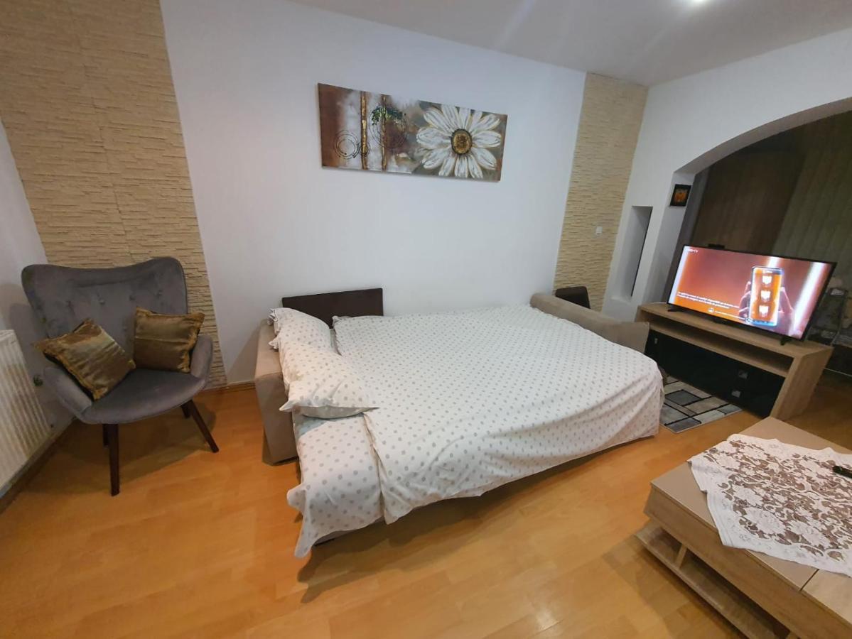 Monik Apartament 시나이아 외부 사진