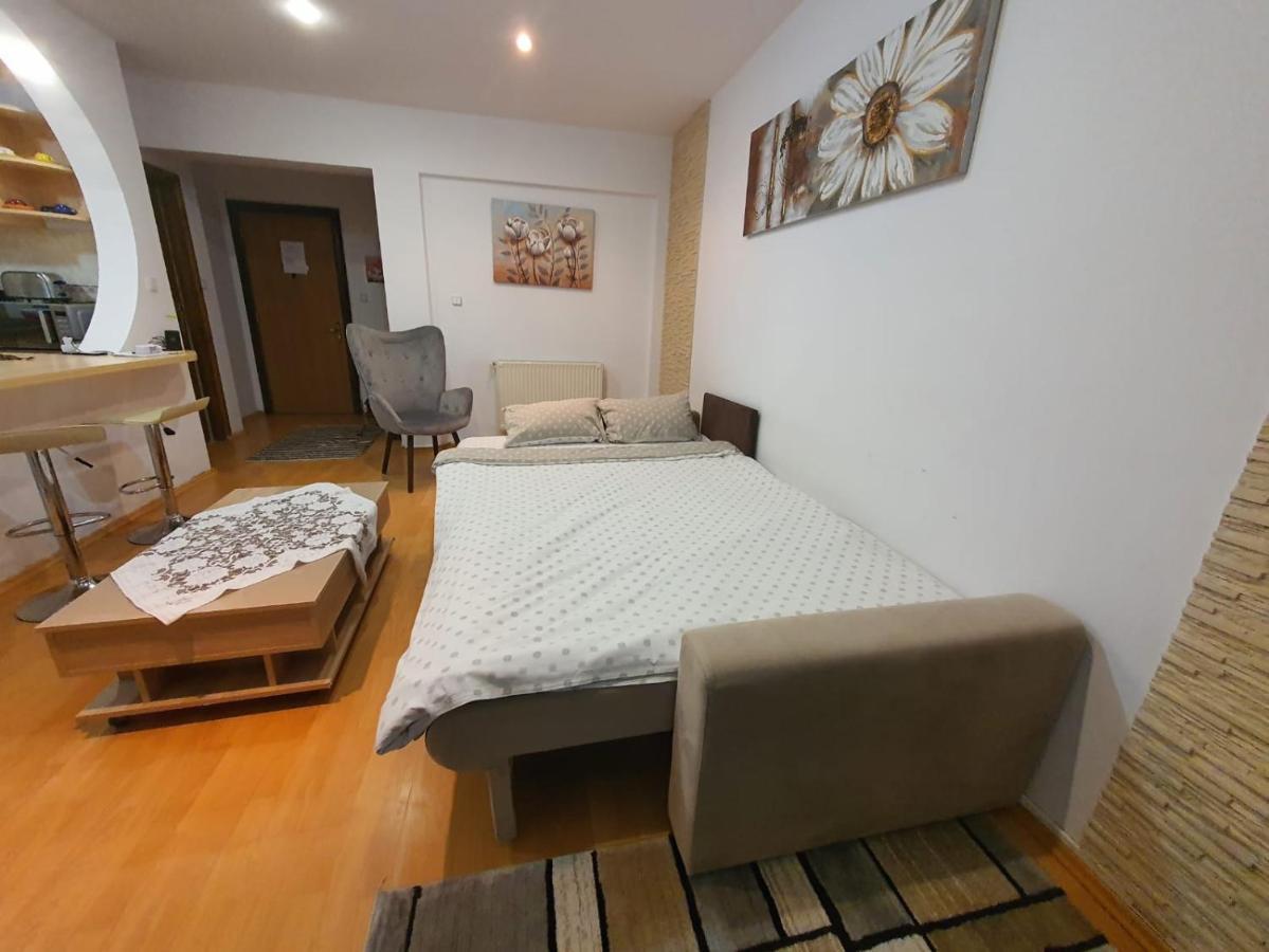Monik Apartament 시나이아 외부 사진